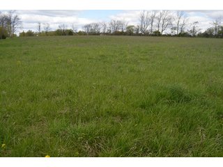 Property photo 56 - Real Estate & Personal Property Auction, Country Home, Building Sites, Pond